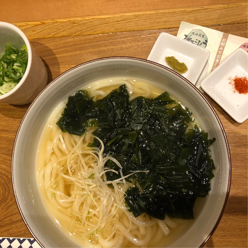 わかめうどん(博多やりうどん 空港別邸)