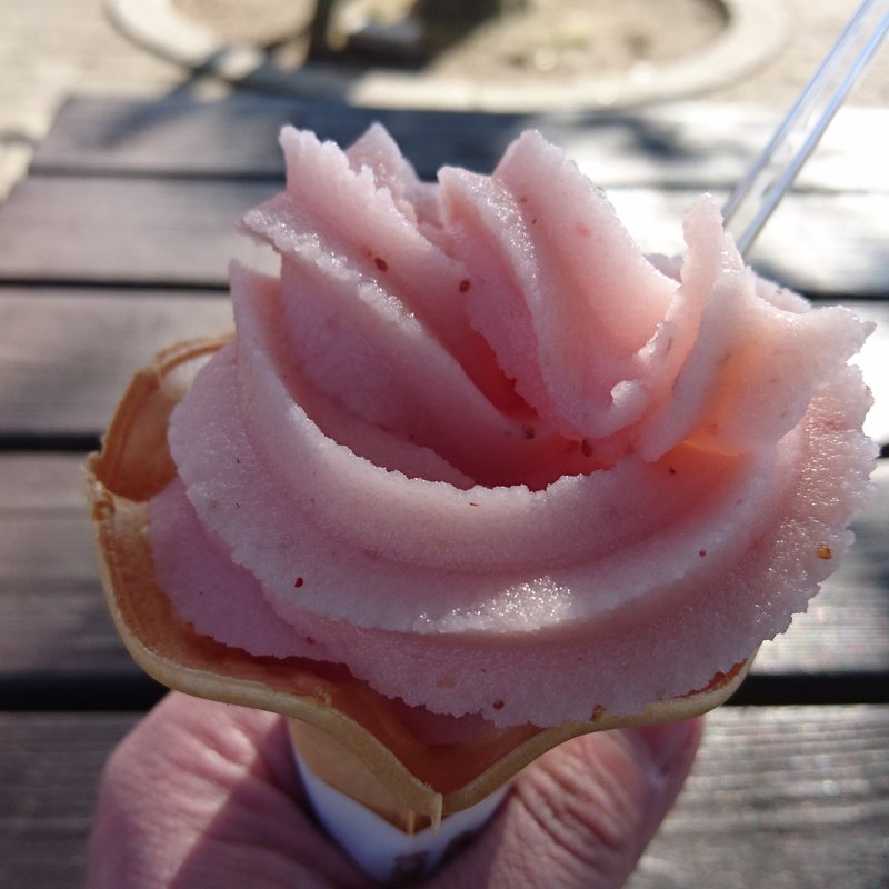 山武いちごジェラートソフト(道の駅 オライはすぬま )