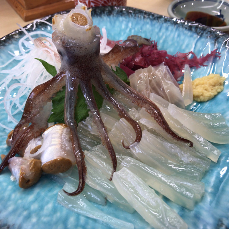 活イカ刺(一花亭たびじ （いっかてい）)