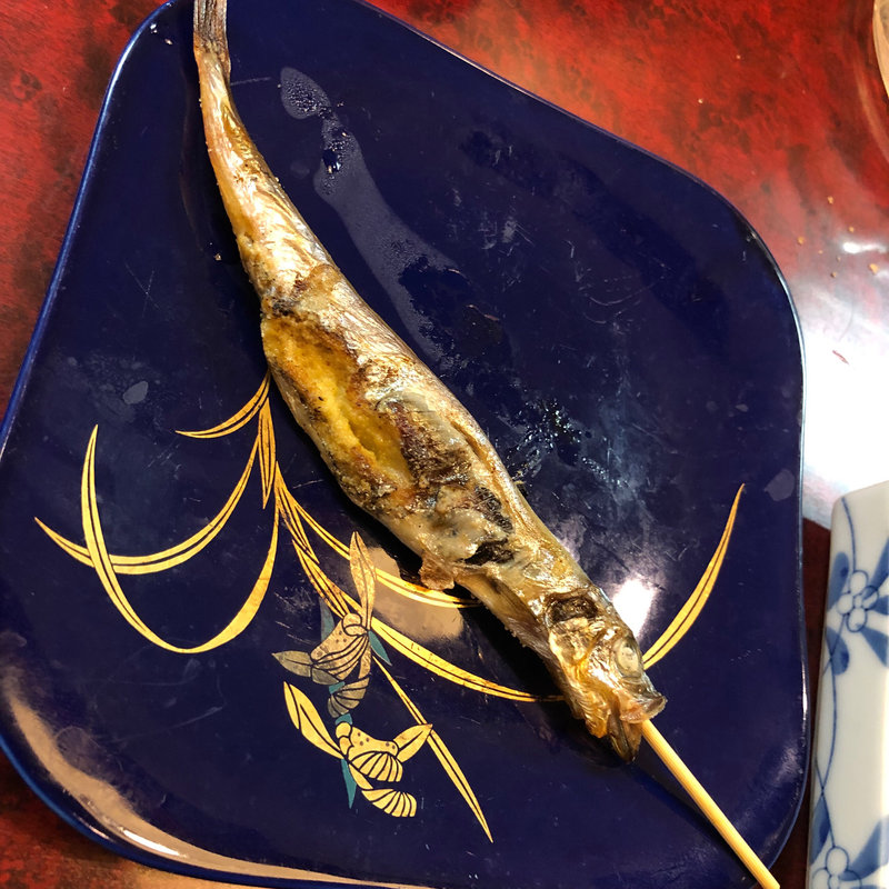 大ししゃも(風来坊 )