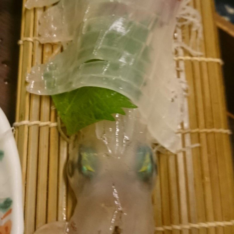 イカの活き造り(4000コース 飲み放題付き)(博多炉ばた 野が海)