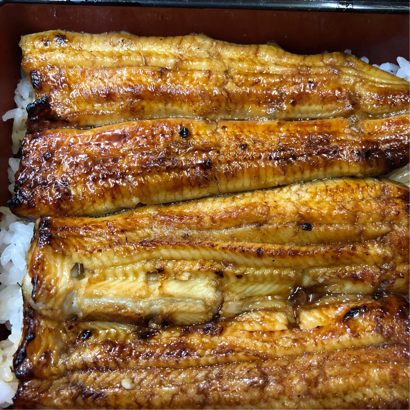 うな重（上）(川栄)