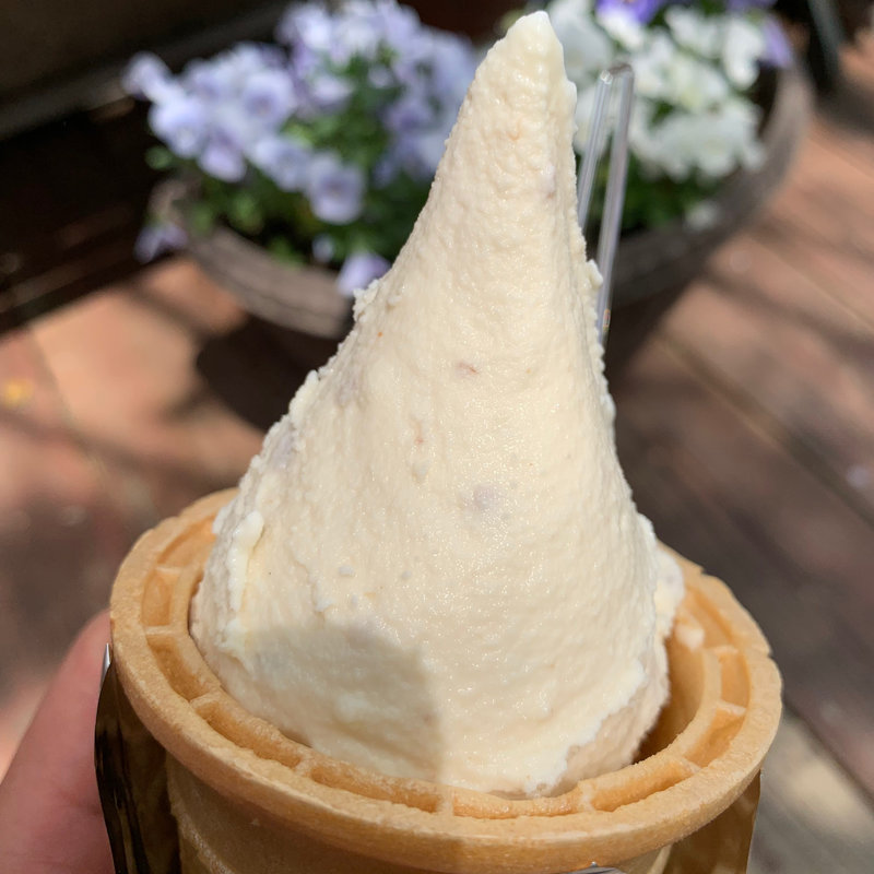 ラムレーズン (シングル)(モンジュー セントヒルズ店 )