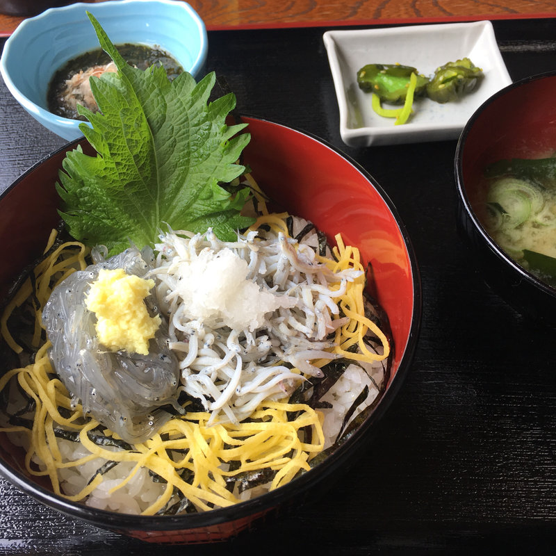 しらす二色丼(地魚料理 漁師の店 池田丸)