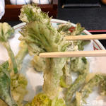 山菜の天ぷら定食(なべ亭 )