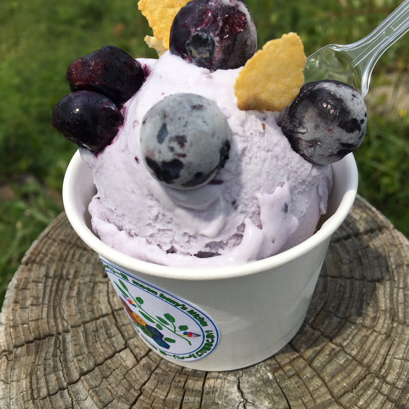 ブルーベリージェラート(moon berry’s kitchen)