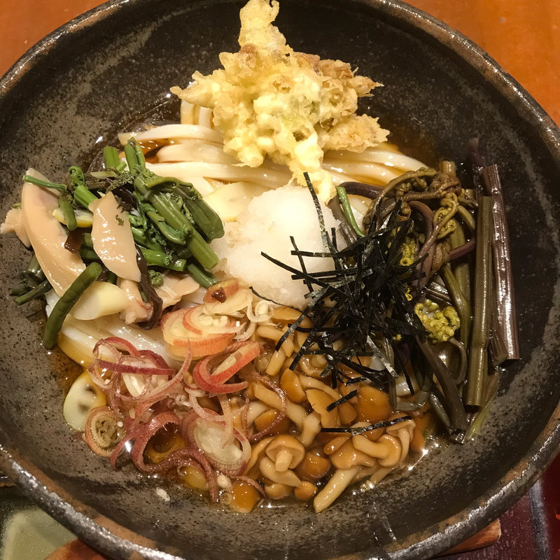 山菜おろしうどん(うどん棒 大阪本店 )