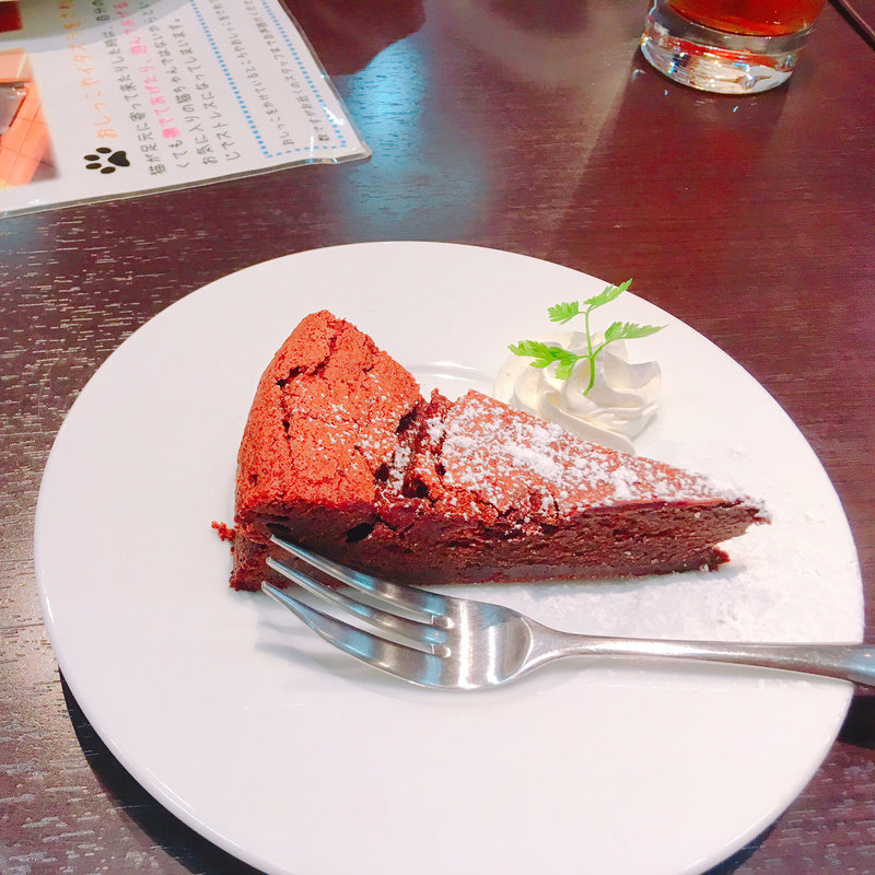 ガトーショコラ(猫見家 )