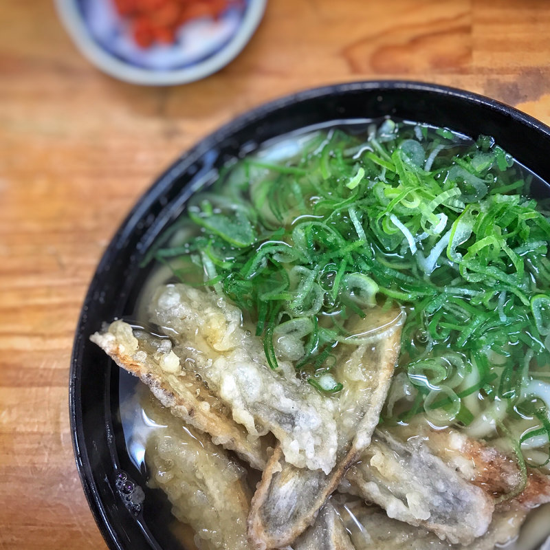 ごぼう天うどん(天ぷらうどん)