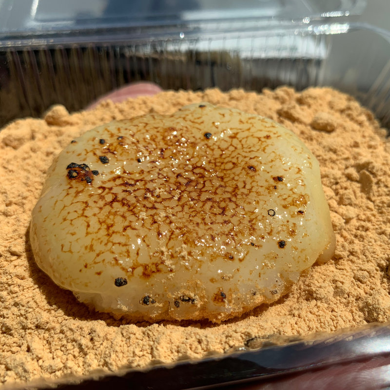 土日祝日限定きなこおはぎ(おはぎ専門店 家走 本店)