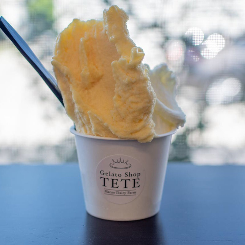 ジェラートダブルカップ(Gelato Shop TETE)