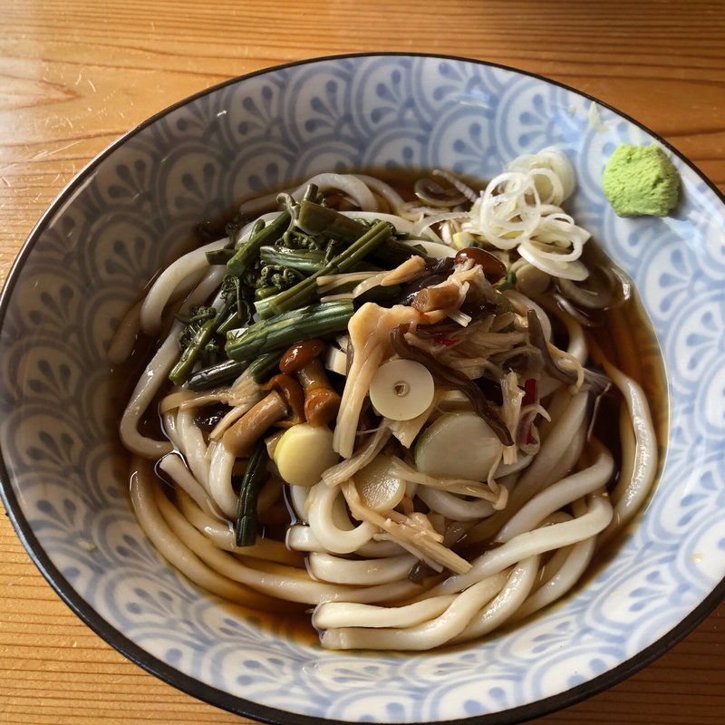 山菜うどん(十一丁目茶屋)
