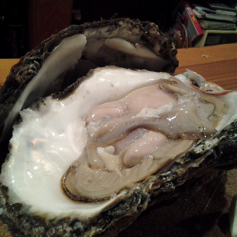 おまかせ(旨いもんや 無。)