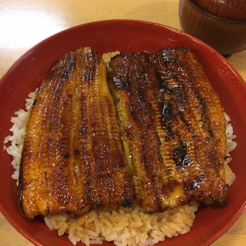 うなぎ　並　丼(元祖うなよし （がんそうなよし）)