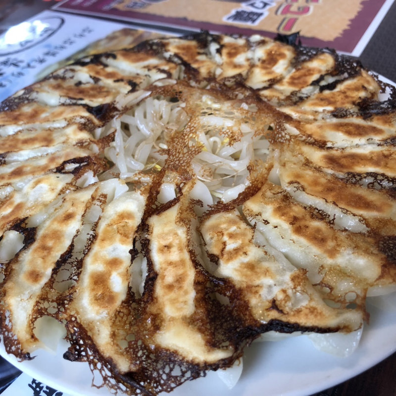 海老　20ヶ(丸福餃子 本店 )