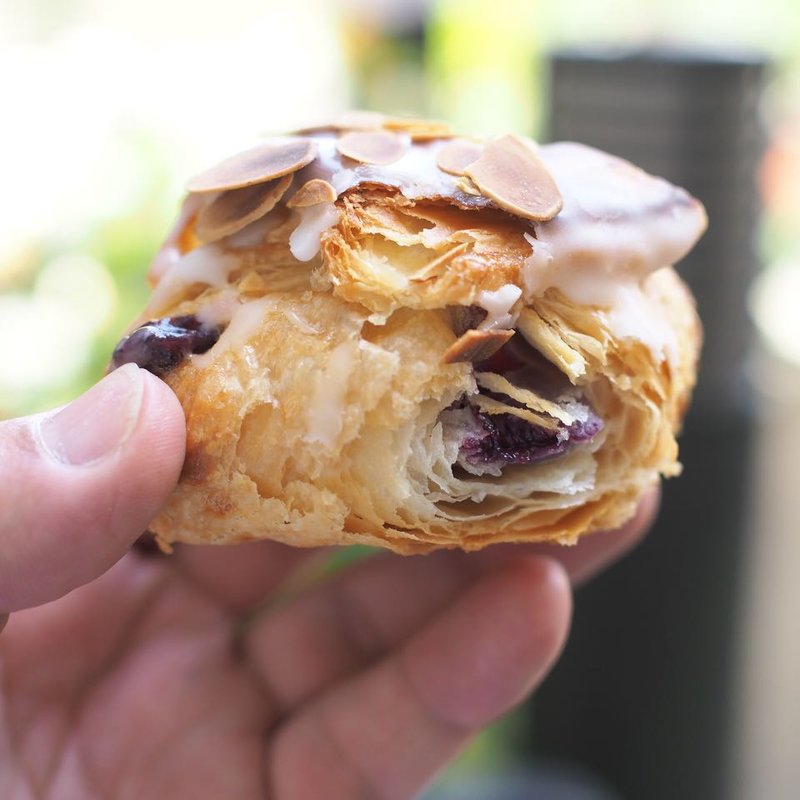 ブルーベリープルンダー(フロインドリーブ （Ｈ．フロインドリーブ）)