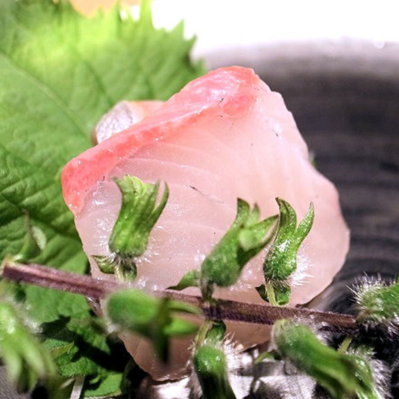 カンパチのお刺身(みこころや )