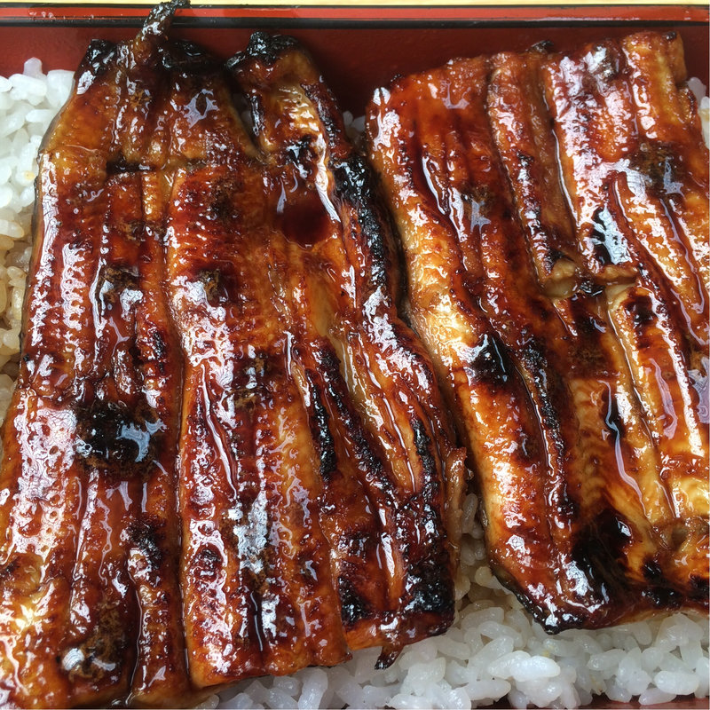 うな重 特上(はねだ)