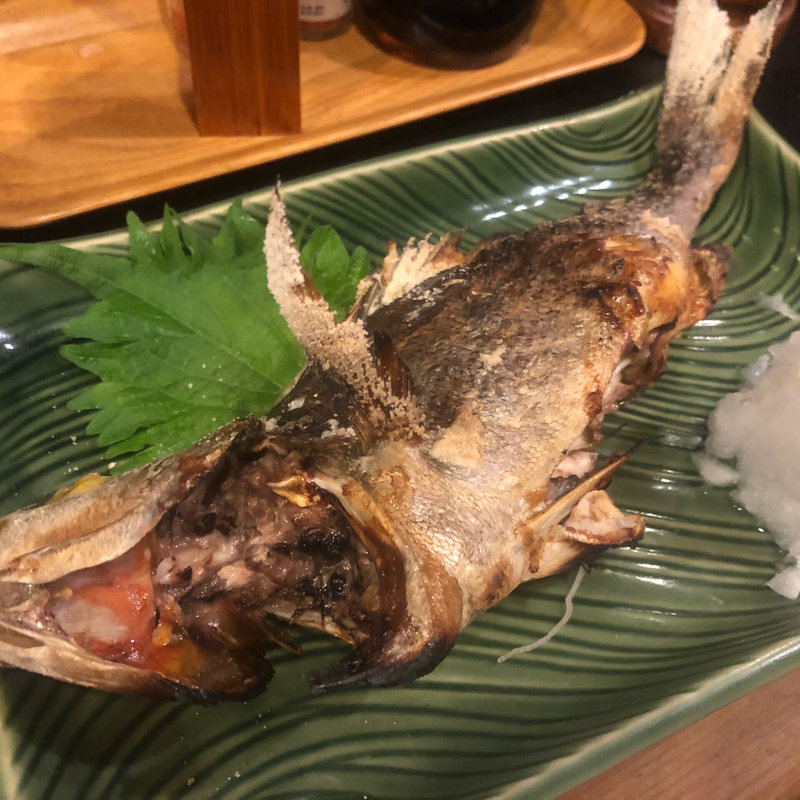 イサキの塩焼き(ほろよい )