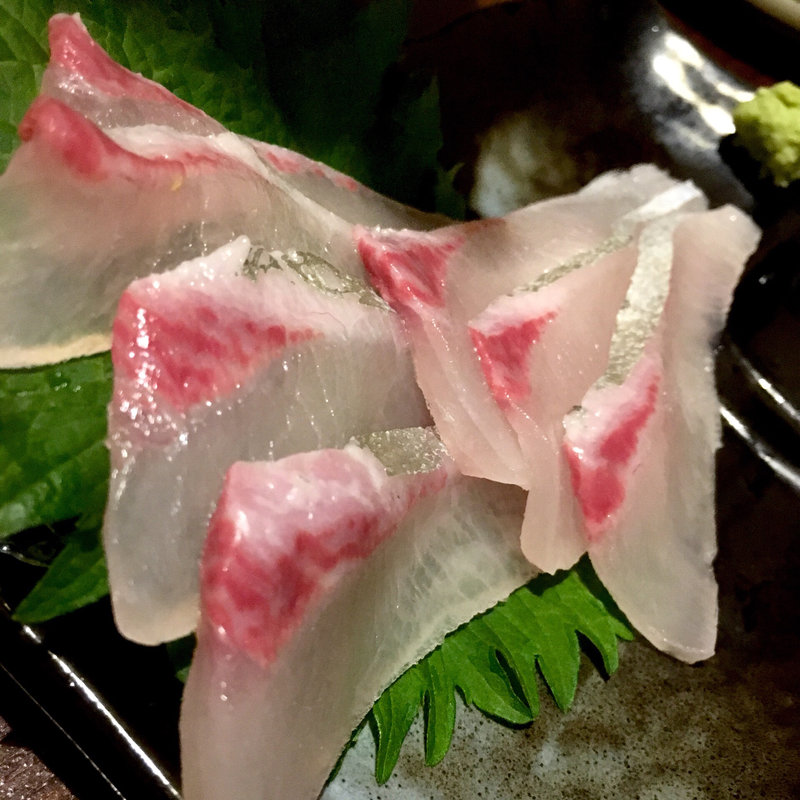 カンパチ（刺身）(純一 )