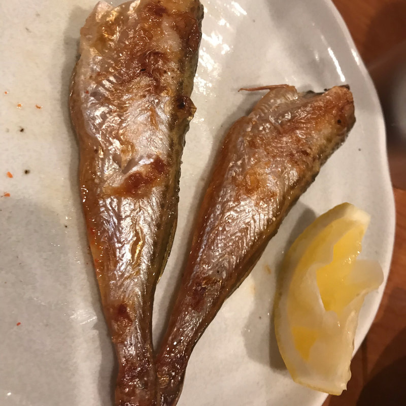 はたはた(おでん居酒屋 三幸 （みゆき）)