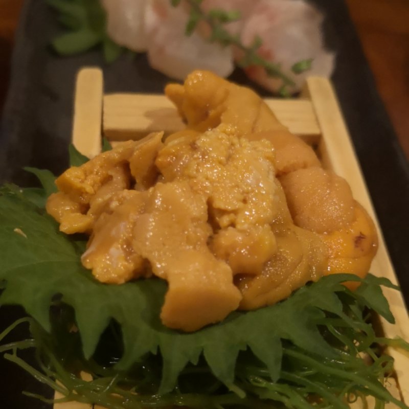 ウニ　ゲタ(マルイチエビスホンテン)