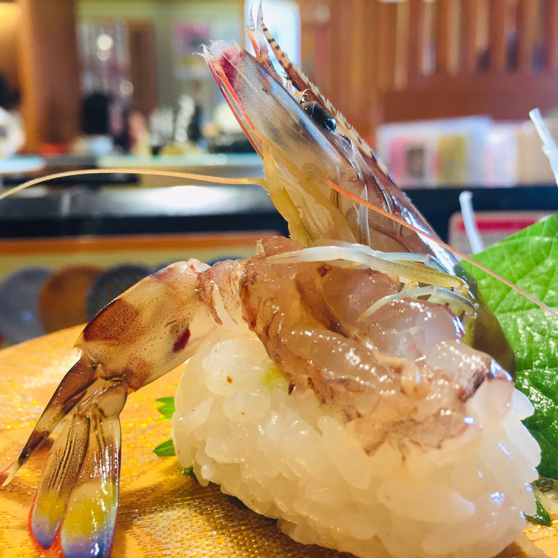 踊り活き車海老(廻る寿司 めっけもん 皇徳寺店 )