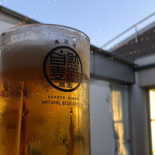 ビール(博多南ナチュラルビアガーデン)
