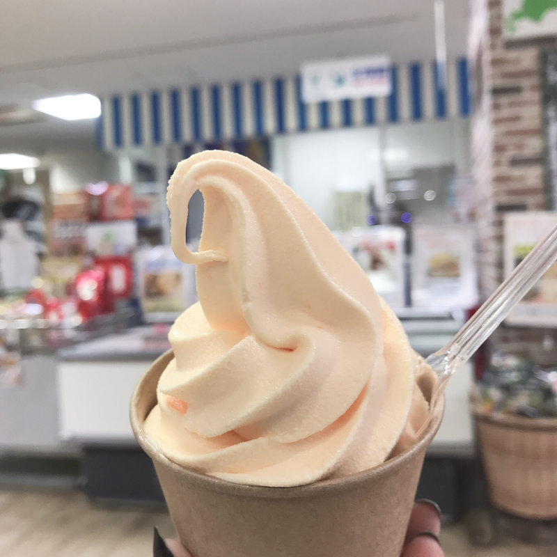 夕張メロンソフト(北海道うまいもの館 ぽっぽ町田店)