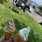 べこの乳ソフトクリーム(会津のべこの乳　アイス牧場 )