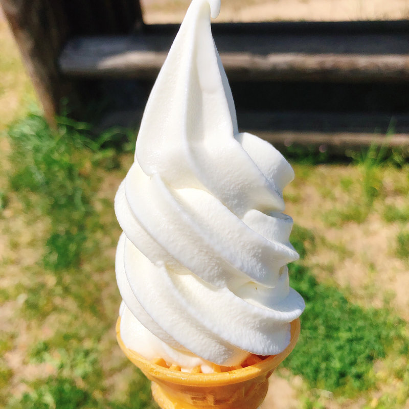 ソフトクリーム  バニラ(ニセコビュープラザ  ミルク工房  )