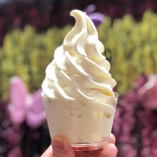 無添加ソフトクリーム(丘のまち美瑛・丘のまちCAFE)