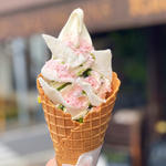 桜ソフトクリーム