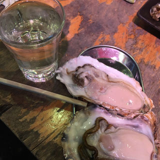 サービスメニュー 真牡蠣＋岩牡蠣＋酒(魚草)