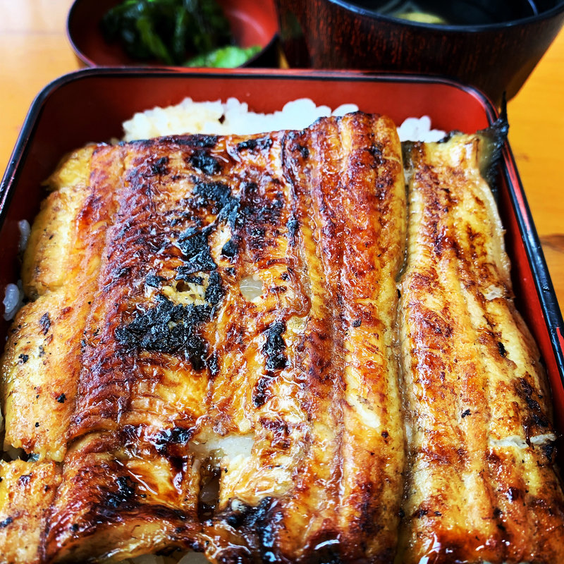 うな重(梅)大盛り＋肝吸い(うな正)