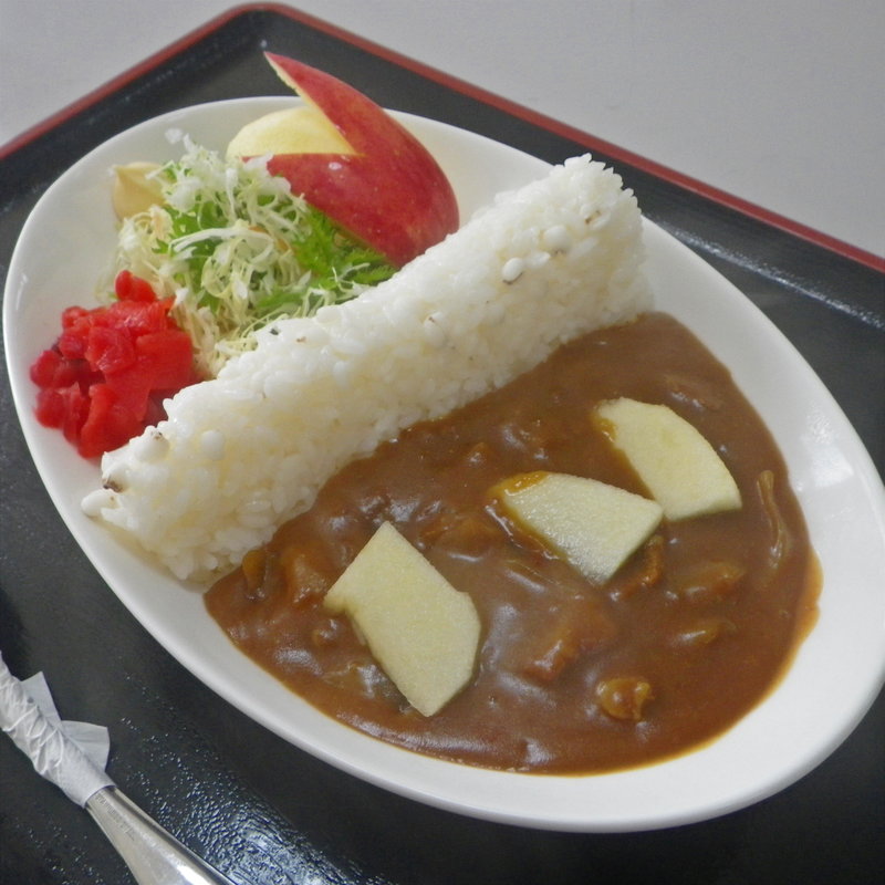胆沢ダムカレー(国見平温泉 食堂 )