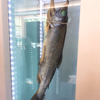 鮭まるごと1尾(鮭バル SalmonBear)
