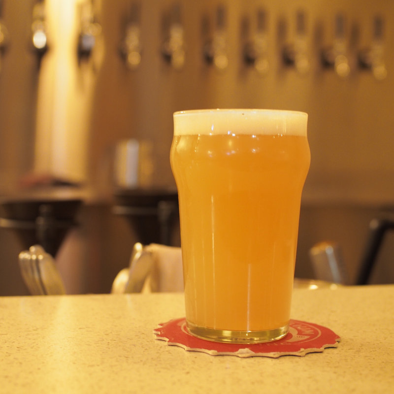 Hazy IPA/Schooner Brewing(NITO)