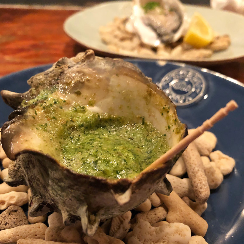 サザエの？(ata)