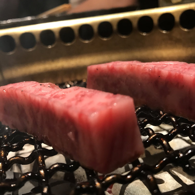 イチボ？(天粋)