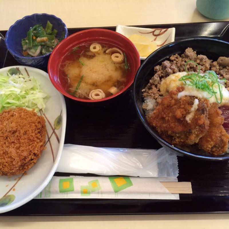 土佐かつお丼と鰹のミンチカツ(道の駅なぶら土佐佐賀)