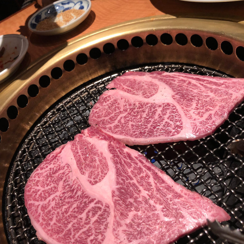 (本家とらちゃん)