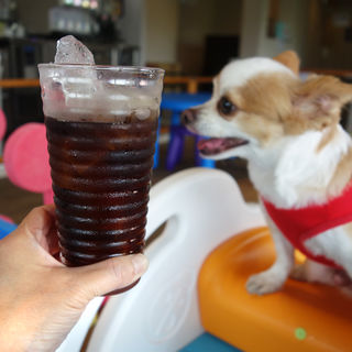 ドリンクバー(ワンパーク 大濠店)