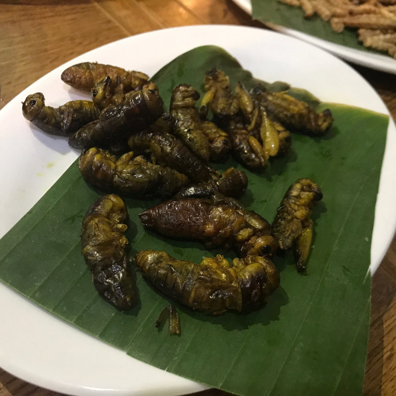 コオロギの炒め(ノングインレイ)