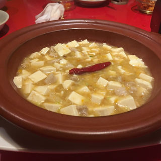 黄金の麻婆豆腐(中村 玄)