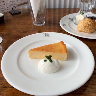 栃木県で食べられるチーズケーキランキング Sarah サラ