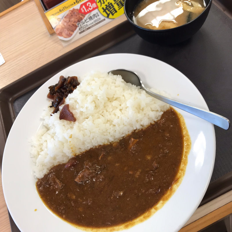 創業カレー(大)(松屋 都立家政店 )