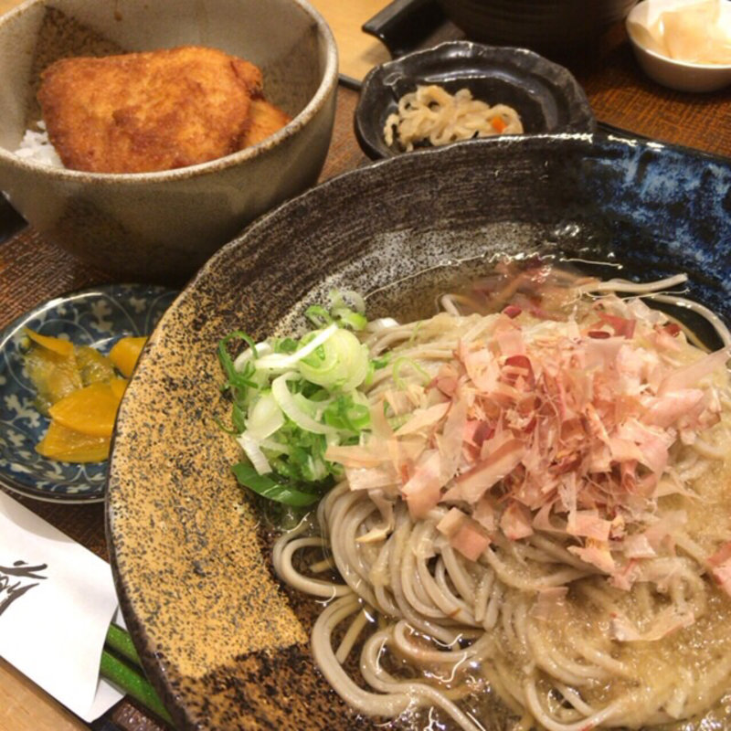 越前おろしそばとソースかつ丼(おそばだうどんだ 越前 )