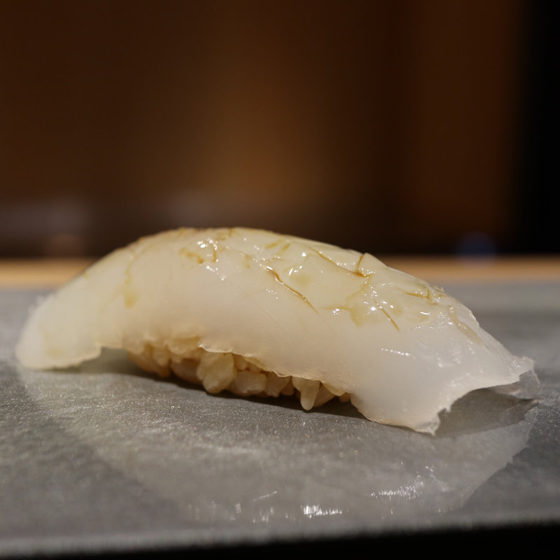 アオリイカ(鮨猪股)