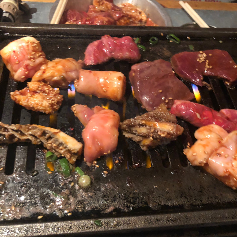 (ホルモン カモメ)